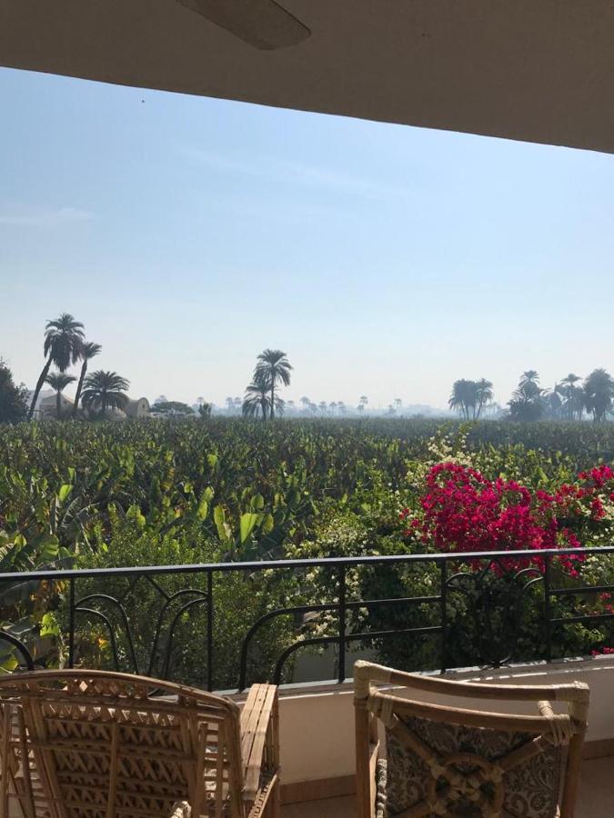 Villa Quiet Place Luxor Exterior foto